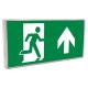 LED EMERGENCY HINGED EXIT W/