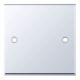 1G BLANK PLATE P/CHR
